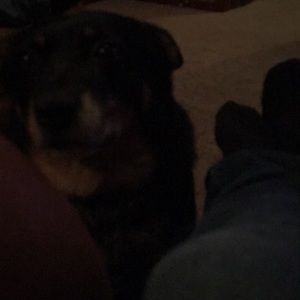 Meet your Posher, Codi